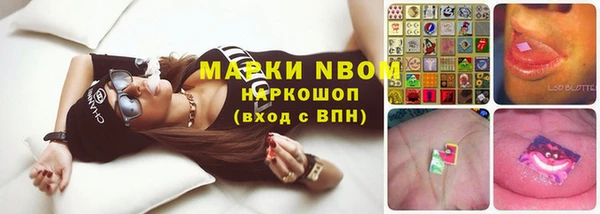 мет Алексин