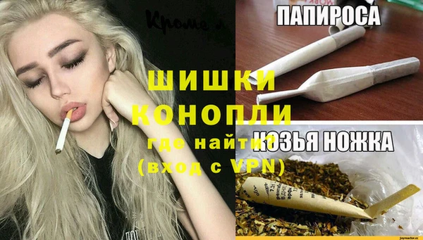 мет Алексин