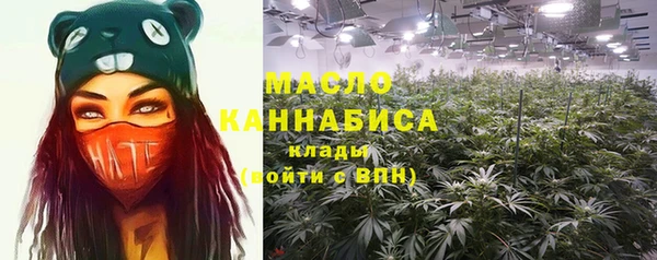 мет Алексин
