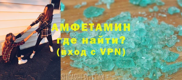 мет Алексин